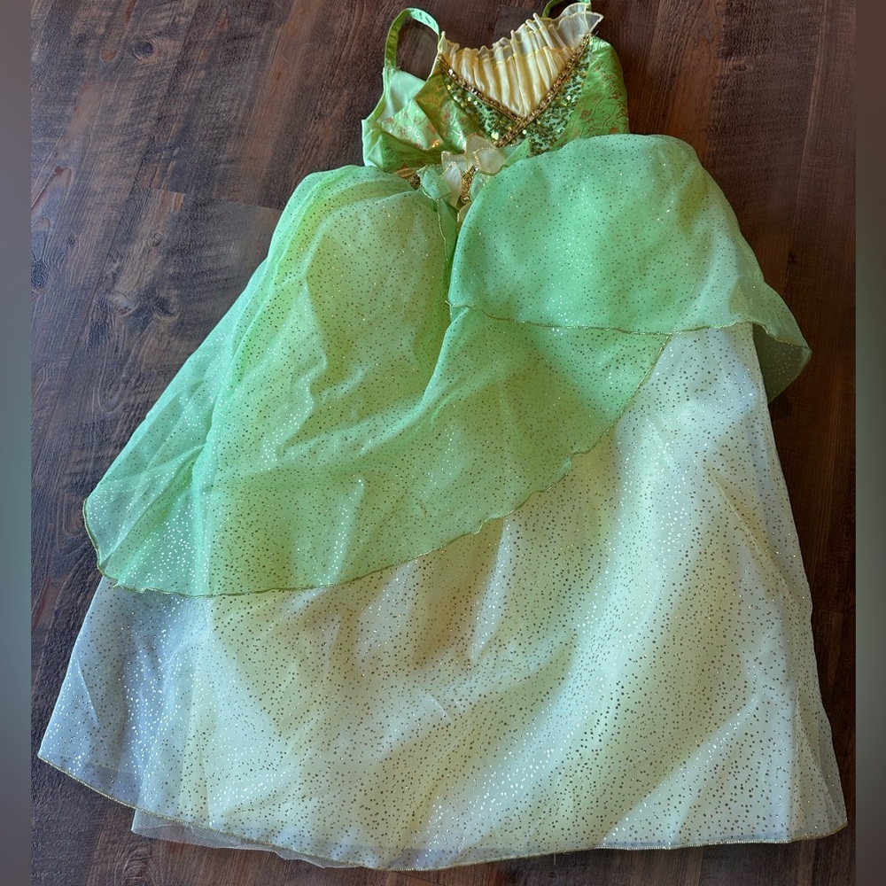 Disney Princess Tiana dress